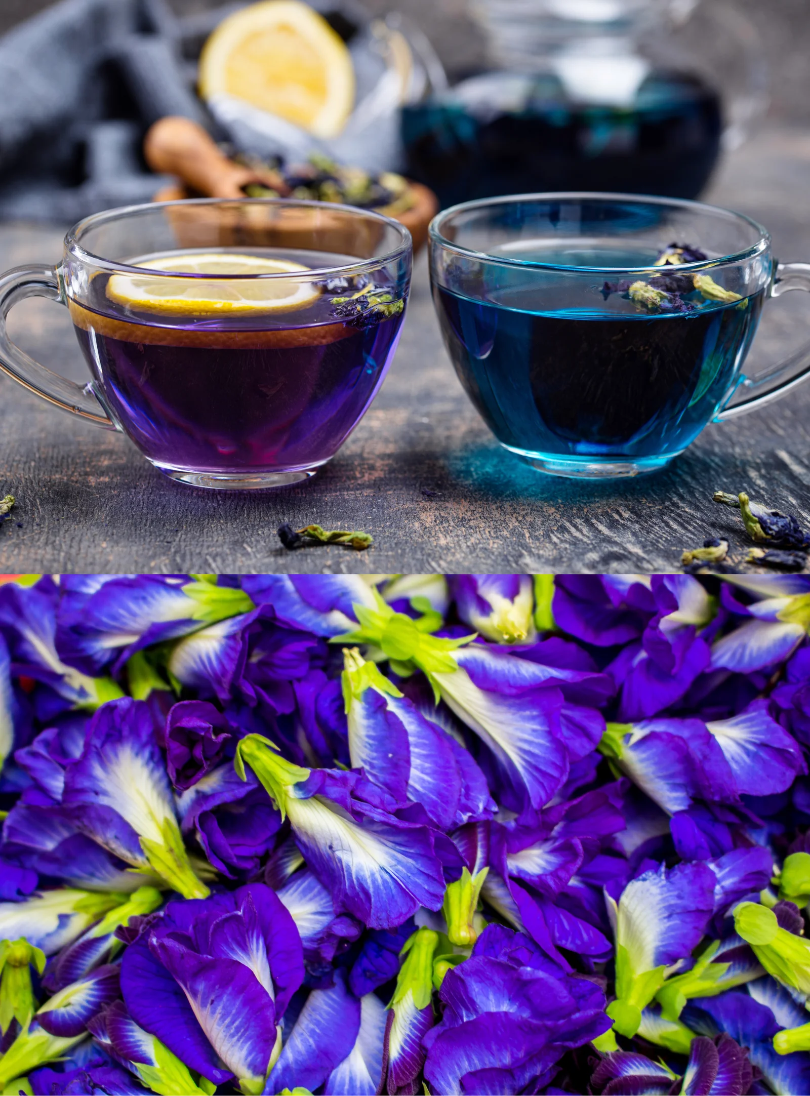 butterfly-pea-flower-tea